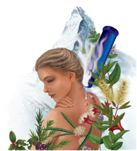 Olbas Oil for Colds & Flu, Aches & Pains